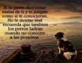 /album/fotogaleria/imagenes-bonitas-con-frases-de-motivacion-jpg/